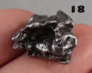 You Choose!  Campo Del Cielo Meteorite