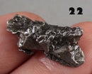 You Choose!  Campo Del Cielo Meteorite