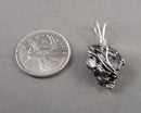 Campo del Cielo Meteorite Pendant 925 Sterling Silver B020-4