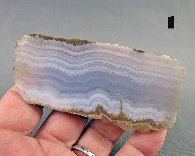 You Choose!  Blue Lace Agate Stone Slice