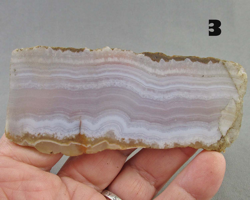 You Choose!  Blue Lace Agate Stone Slice