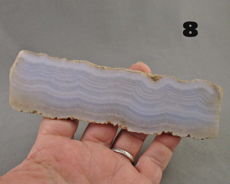 You Choose!  Blue Lace Agate Stone Slice