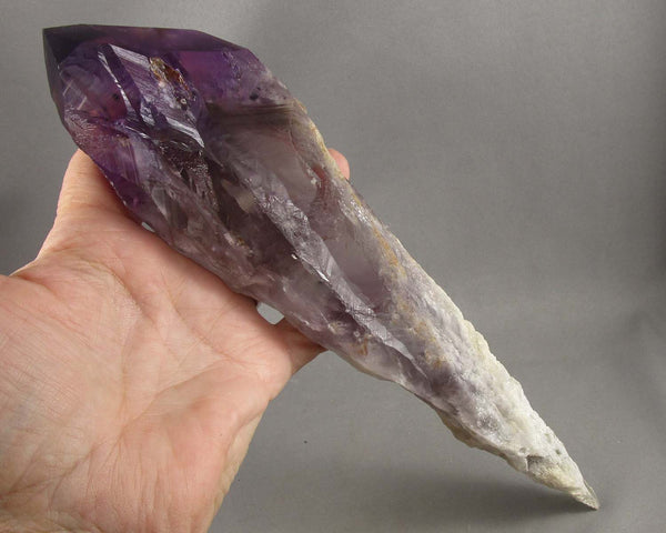 Extra Large Amethyst Crystal Scepter Point 1pc ST5
