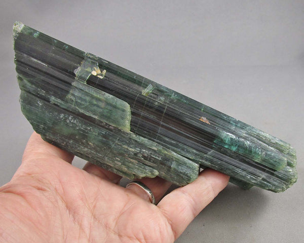 RARE FIND!  Extra Large Green Tourmaline Crystal 50% OFF! ST8