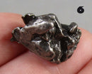 You Choose!  Campo Del Cielo Meteorite
