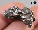 You Choose!  Campo Del Cielo Meteorite
