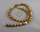 Picture Jasper Beads Round Various Sizes