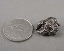 Campo Del Cielo Meteorite 1pc B069-2