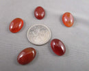 Carnelian Cabochon 5pcs 18x13mm (C612)