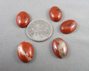 Red Jasper Cabochon 5pcs 18x13mm (C082)