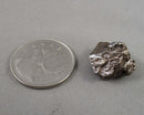 Campo Del Cielo Meteorite 1pc B069-4