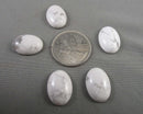 Howlite Cabochon 5pcs 18x13mm (C081)