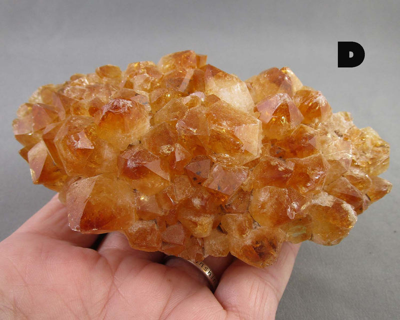 You Choose Citrine Crystal Cluster 1pc