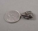 Campo Del Cielo Meteorite 1pc B069-8