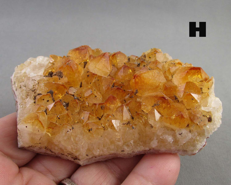 You Choose Citrine Crystal Cluster 1pc