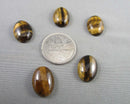 Tiger Eye Cabochon 5pcs 18x13mm (C139)