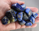 Lapis Lazuli Polished Stone 2pc J103**
