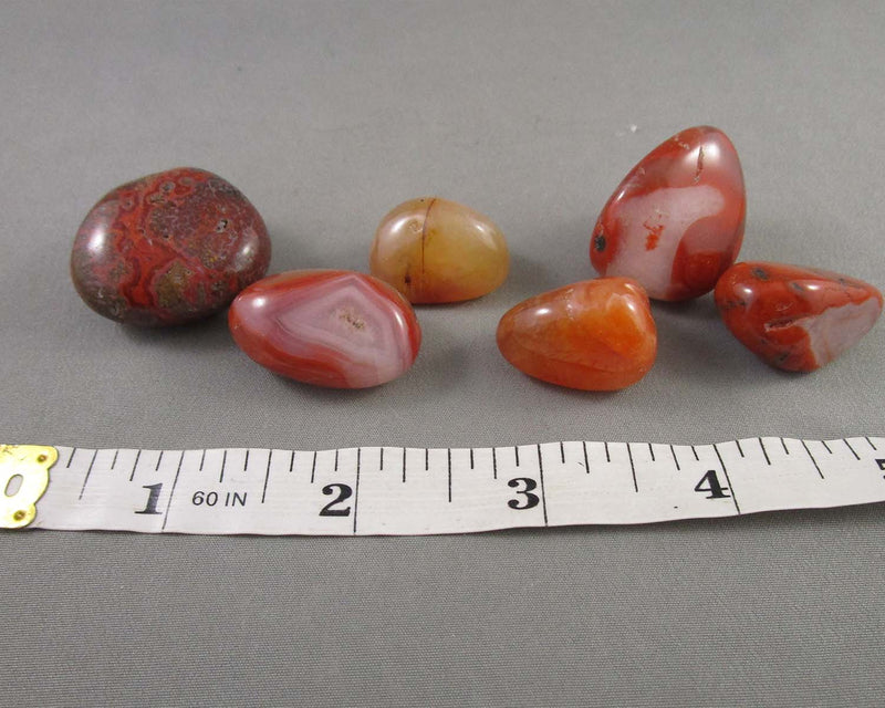 Carnelian Polished Stones (Medium) 3pcs J174