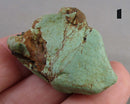 You Choose! Turquoise Stone Raw (Britton Apache) 1pc