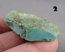 You Choose! Turquoise Stone Raw (Britton Apache) 1pc
