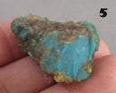 You Choose! Turquoise Stone Raw (Britton Apache) 1pc