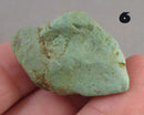 You Choose! Turquoise Stone Raw (Britton Apache) 1pc