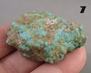 You Choose! Turquoise Stone Raw (Britton Apache) 1pc