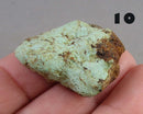 You Choose! Turquoise Stone Raw (Britton Apache) 1pc