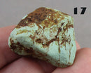 You Choose! Turquoise Stone Raw (Britton Apache) 1pc