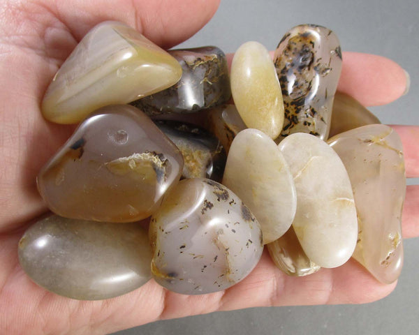 Natural Agate Polished Stones (Medium) 3pcs J082