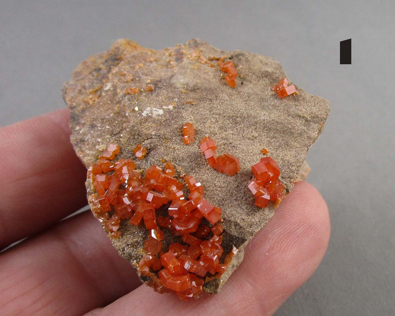 You Choose!  Vanadinite Crystal Cluster 1pc