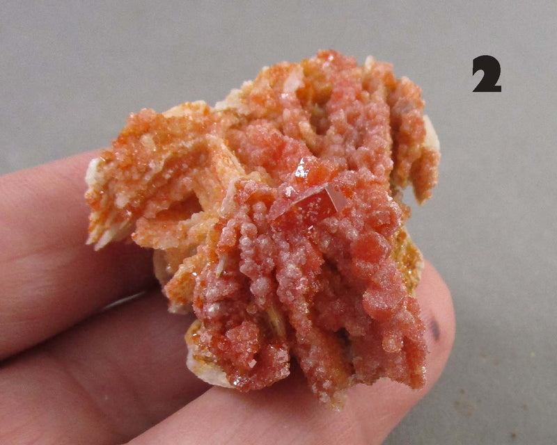 You Choose!  Vanadinite Crystal Cluster 1pc