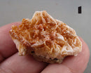 You Choose!  Vanadinite Crystal Cluster 1pc