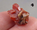 You Choose!  Vanadinite Crystal Cluster 1pc