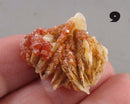 You Choose!  Vanadinite Crystal Cluster 1pc