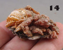 You Choose!  Vanadinite Crystal Cluster 1pc