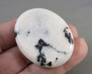Zebra Jasper Worry Stone 1pcs C782