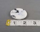Zebra Jasper Worry Stone 1pcs C782
