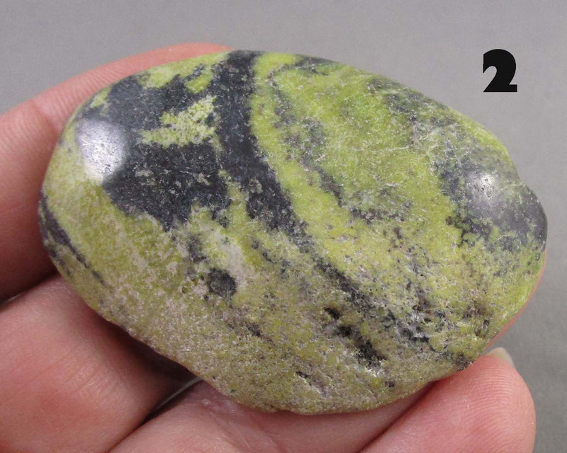 You Choose!  Serpentine Polished Stone 1pc