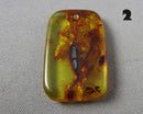 You Choose!  Polished Amber Drilled Cabochons