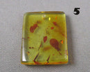 You Choose!  Polished Amber Drilled Cabochons