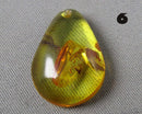 You Choose!  Polished Amber Drilled Cabochons