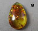 You Choose!  Polished Amber Drilled Cabochons