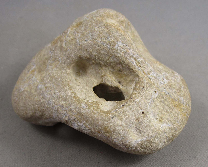 Hag Stone (Adder Stone) 1pc B036-3