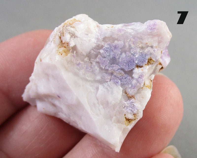 You Choose! Purple Opal (Morado Opal)