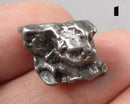 You Choose!  Campo Del Cielo Meteorite
