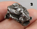 You Choose!  Campo Del Cielo Meteorite