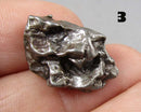 You Choose!  Campo Del Cielo Meteorite