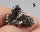 You Choose!  Campo Del Cielo Meteorite