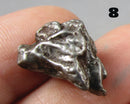 You Choose!  Campo Del Cielo Meteorite